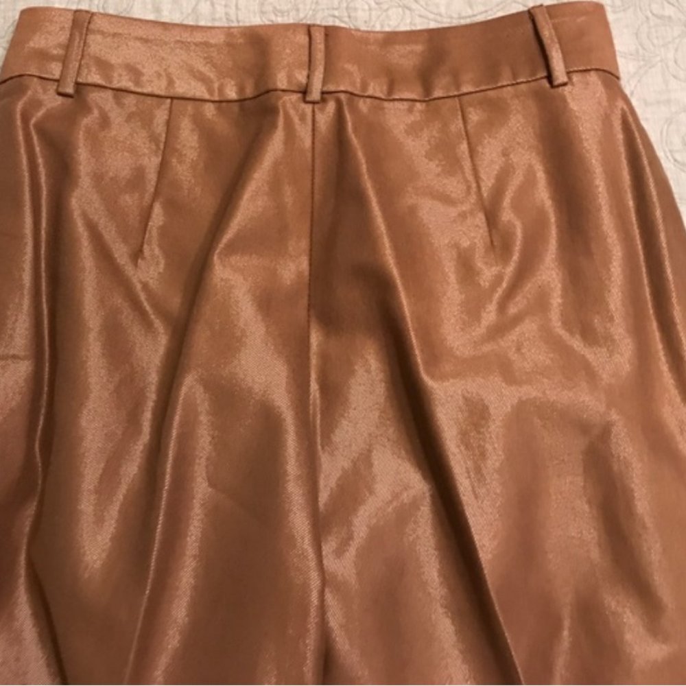 Banana Republic High Sheen Pants - Picture 4 of 6